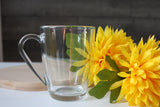 Classic glass mug with handle (10 3/4oz)